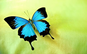 022515_arretez-de-vous-appeler pecheur