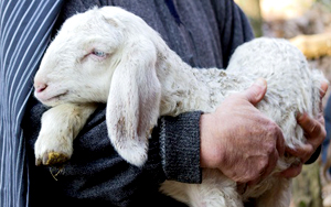 Protection-divine-moments-difficiles