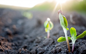 072215_realite de la nouvelle creation