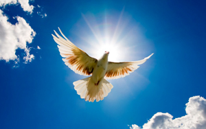 what-a-blessing_blog