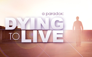 a_paradox_dying_to_live_blog