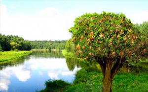 La vie abondante_blog1